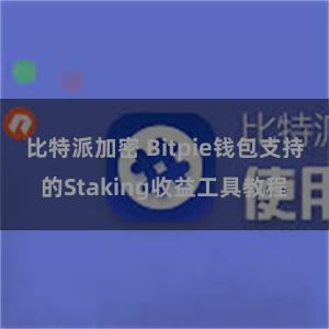 比特派加密 Bitpie钱包支持的Staking收益工具教程